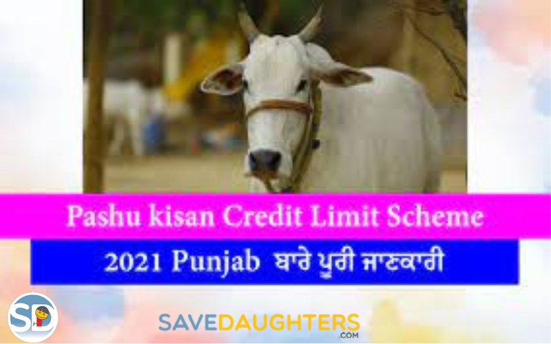 Punjab Kisan Credit Limit Scheme 2022   Objective, Features, Benefits