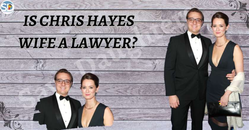 Is Chris Hayes Wife a Lawyer