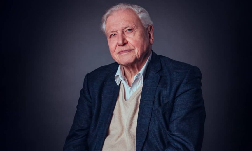 Is David Attenborough Dead? Wife, Parents, Age, Net Worth