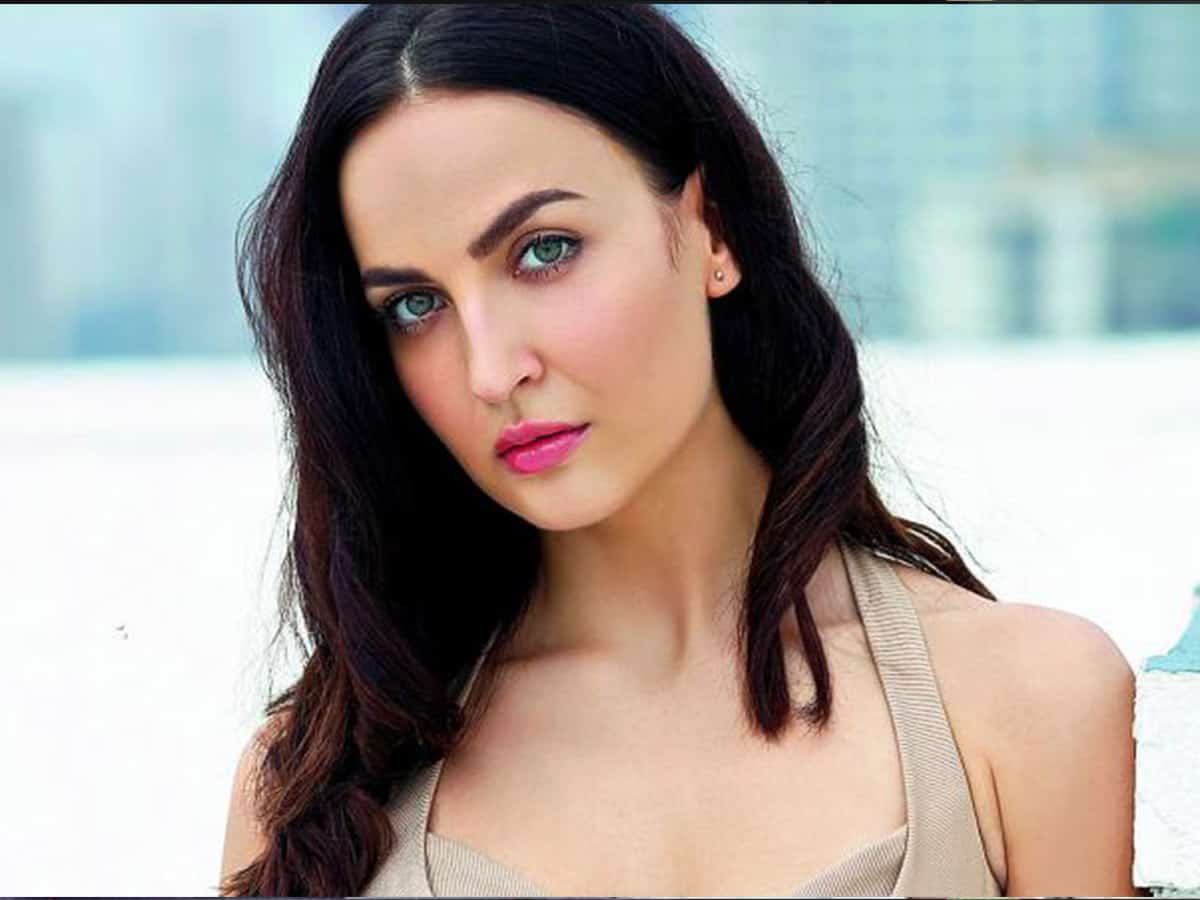 Elli AvrRam Wiki