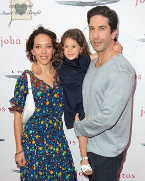 David Schwimmer Wife