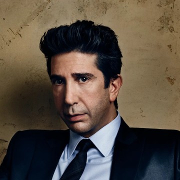 David Schwimmer Wife