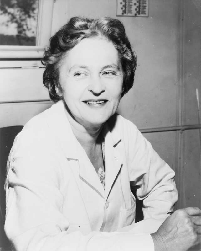 Mária Telkes Inventions