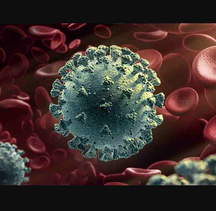 Corona Virus New Variant in India