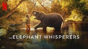 Karthik Gonsalves's film 'Elephant Whispers' won the Oscar 2023