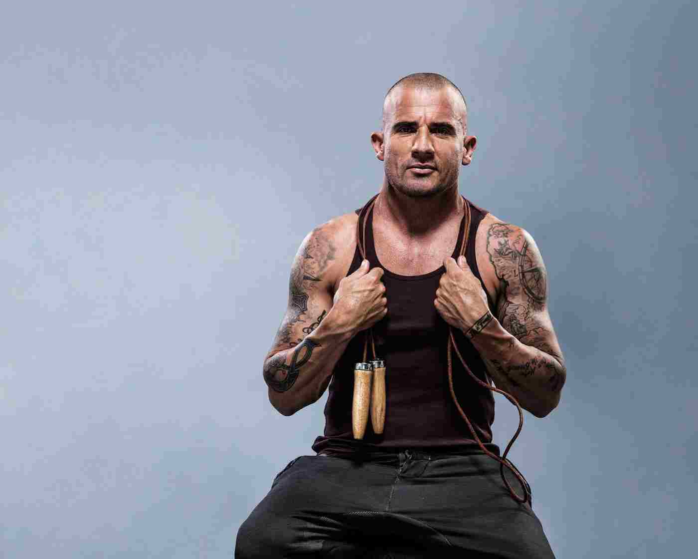 dominic-purcell-career