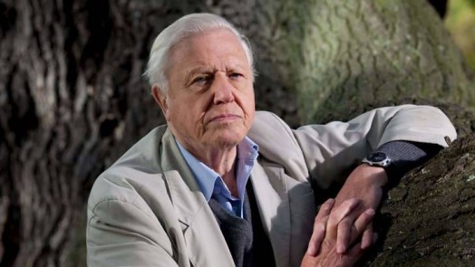 David Attenborough Biography & Wiki