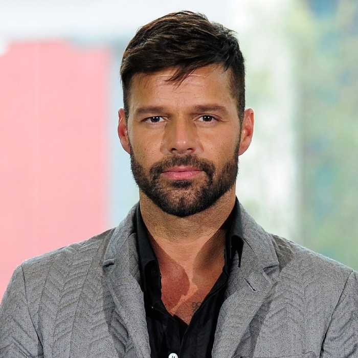 Ricky Martin Wikipedia