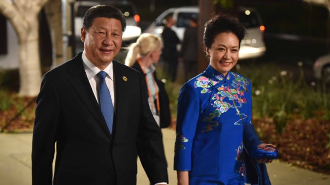 Xi Jinping Wife