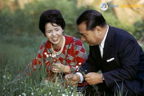 Who Is Daisaku Ikeda Wife?
