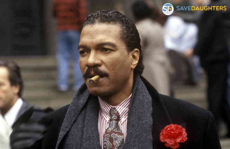 Billy Dee Williams Net worth